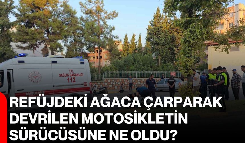 Refüjdeki ağaca çarparak devrilen motosikletin sürücüsüne ne oldu?