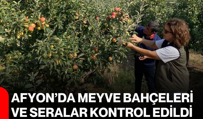 Afyon’da meyve bahçeleri ve seralar kontrol edildi