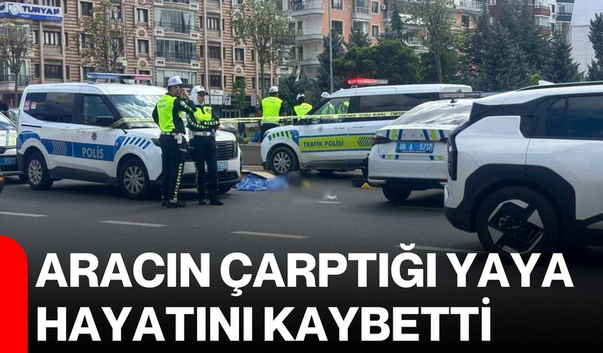 Aracın çarptığı yaya hayatını kaybetti