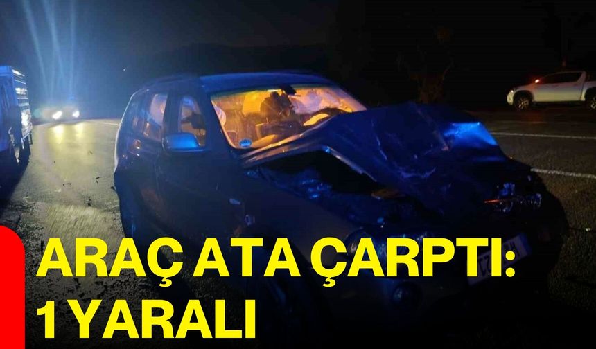 Araç ata çarptı: 1 yaralı