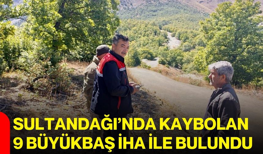 Sultandağı’nda kaybolan 9 büyükbaş İHA ile bulundu