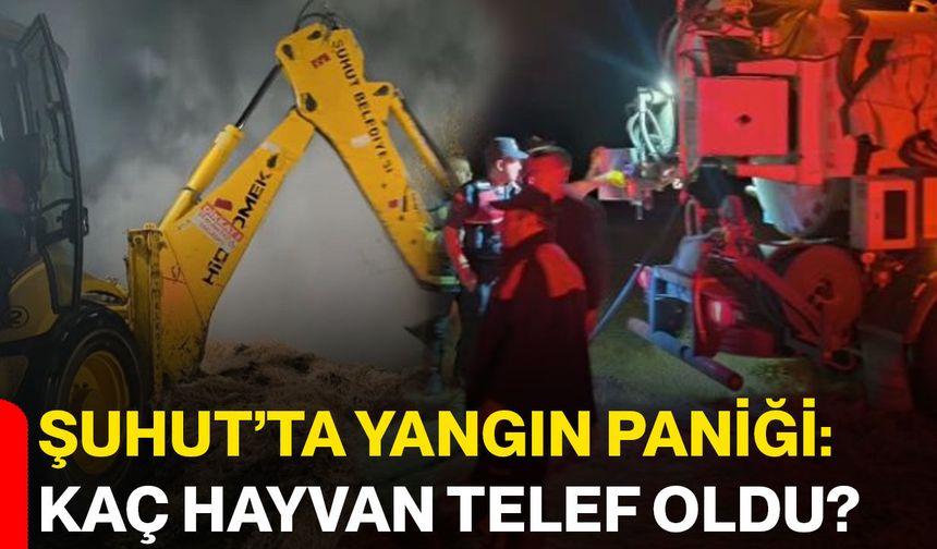 Şuhut’ta yangın paniği: Kaç hayvan telef oldu?