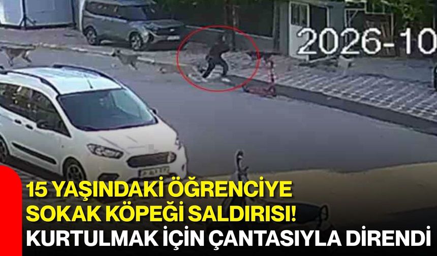 15 yaşındaki öğrenciye sokak köpeği saldırısı! Kurtulmak için çantasıyla direndi