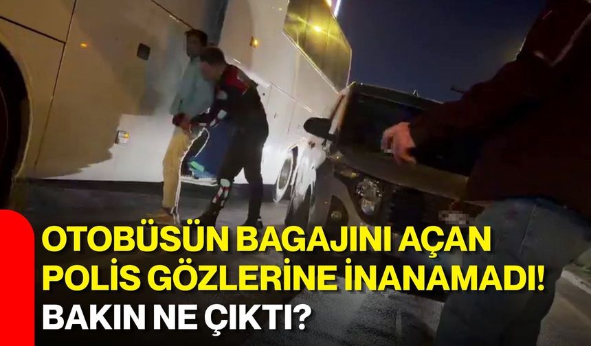 Otobüsün bagajını açan polis gözlerine inanamadı! Bakın ne çıktı?