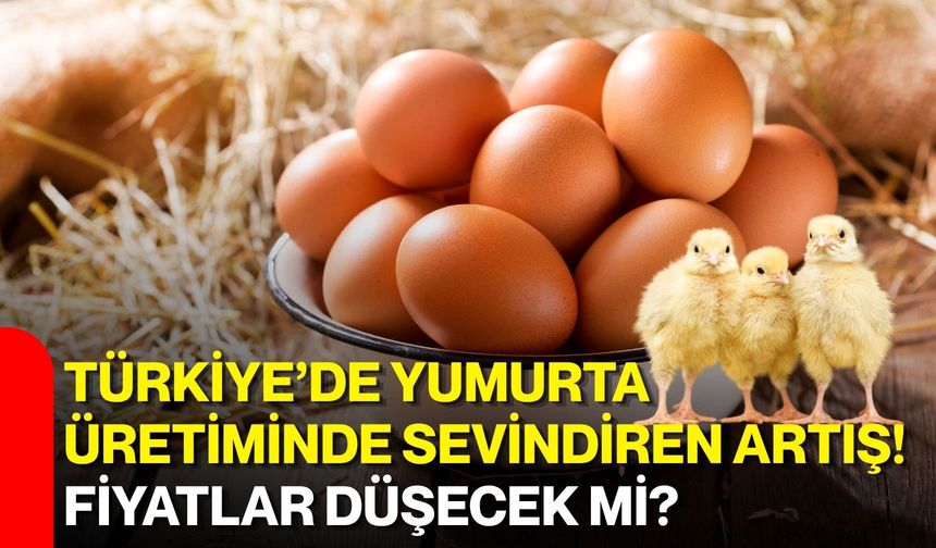 Türkiye’de yumurta üretiminde sevindiren artış! Fiyatlar düşecek mi?