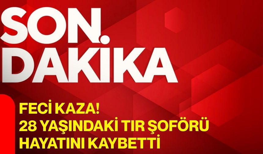 Feci kaza! 28 yaşındaki tır şoförü hayatını kaybetti