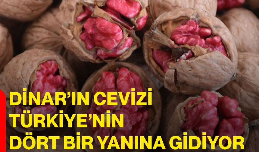 Dinar’ın cevizi Türkiye’nin dört bir yanına gidiyor