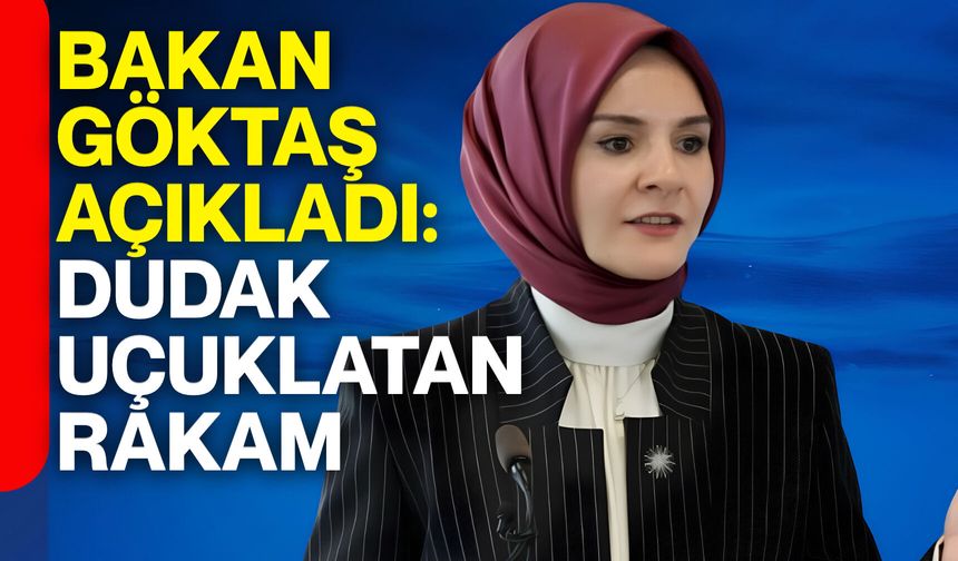 Bakan Göktaş açıkladı: Dudak uçuklatan rakam