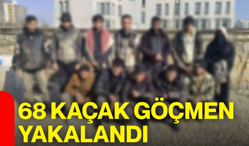 68 kaçak göçmen yakalandı