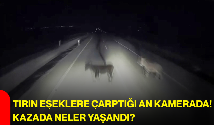Tırın eşeklere çarptığı an kamerada! Kazada neler yaşandı?