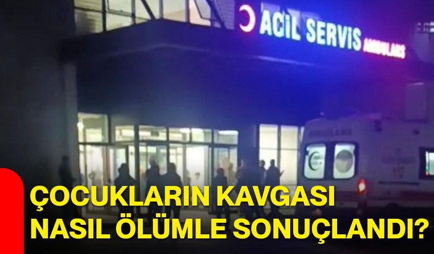 Çocukların kavgası nasıl ölümle sonuçlandı?