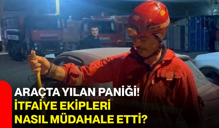 Araçta yılan paniği! İtfaiye ekipleri nasıl müdahale etti?