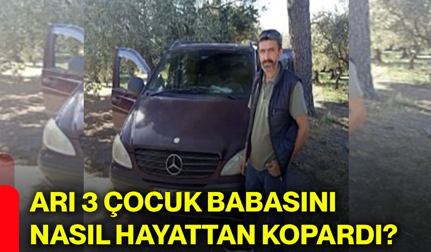 Arı 3 çocuk babasını nasıl hayattan kopardı?