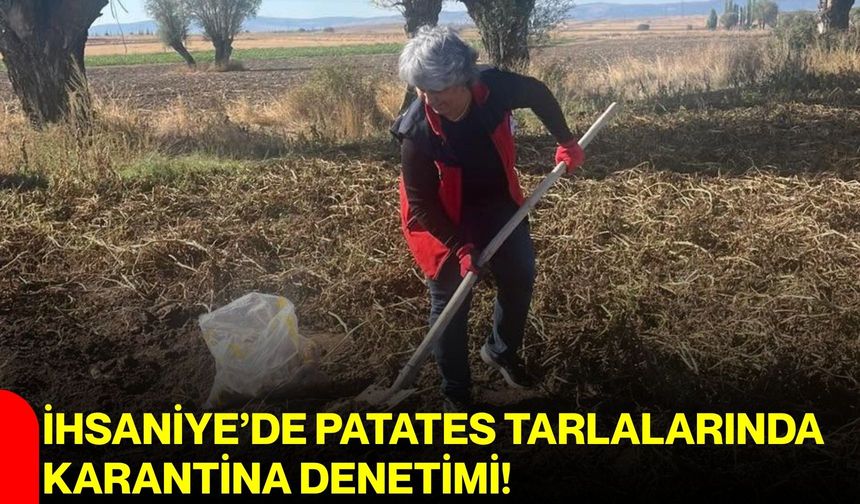 İhsaniye’de patates tarlalarında karantina denetimi!