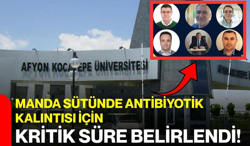 Manda sütünde antibiyotik kalıntısı için kritik süre belirlendi!