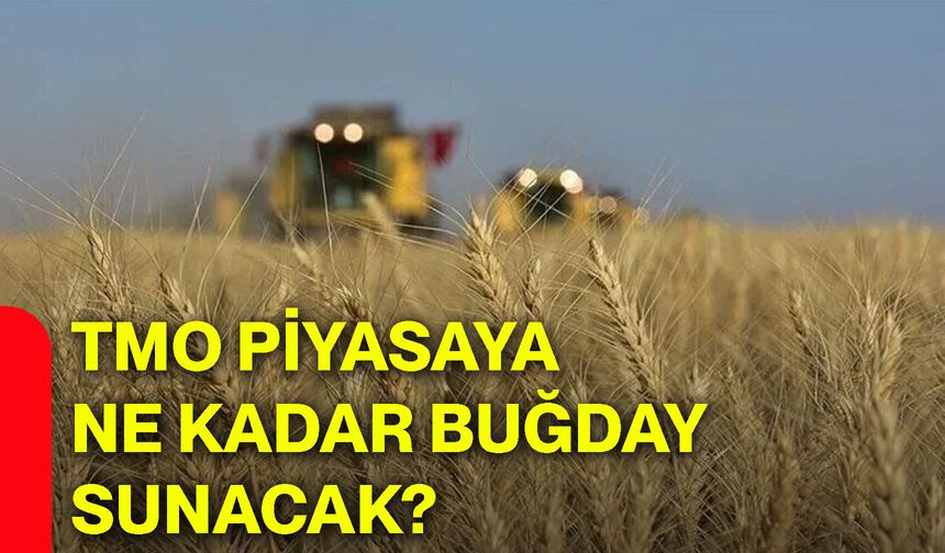 TMO piyasaya ne kadar buğday sunacak?