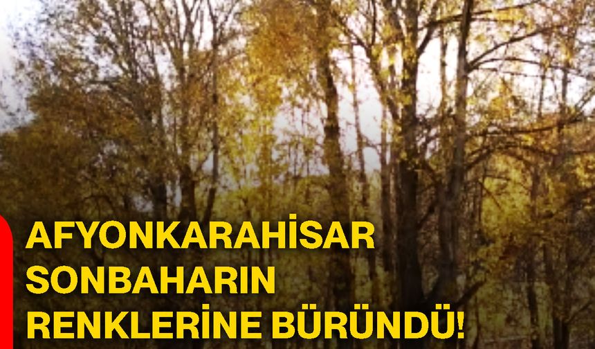 Afyonkarahisar sonbaharın renklerine büründü!