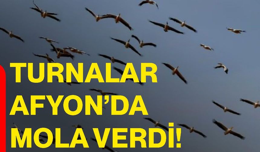 Turnalar Afyon’da mola verdi!