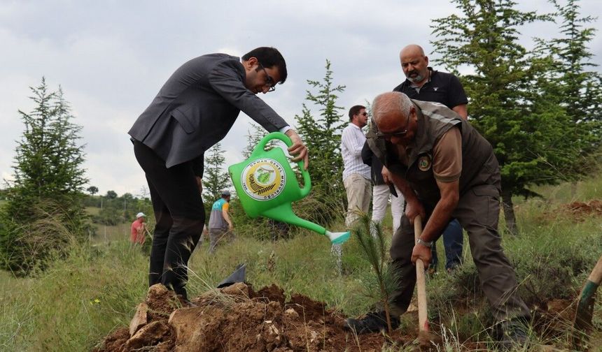 Hocalar'ın Edebi Yazarları Kitap Fuarı'nı Yeşillendirdi!