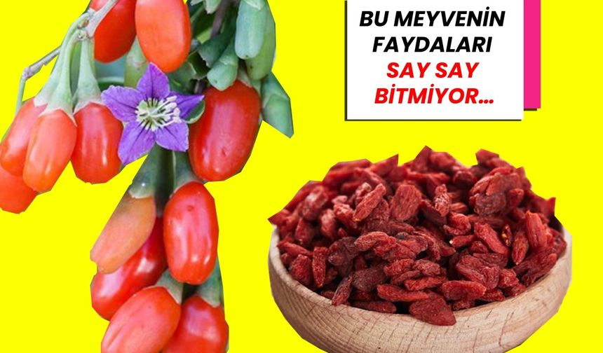 Bu meyvenin faydaları say say bitmiyor…