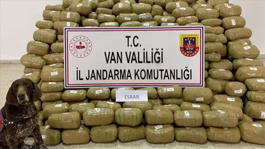 Uyuşturucu-2