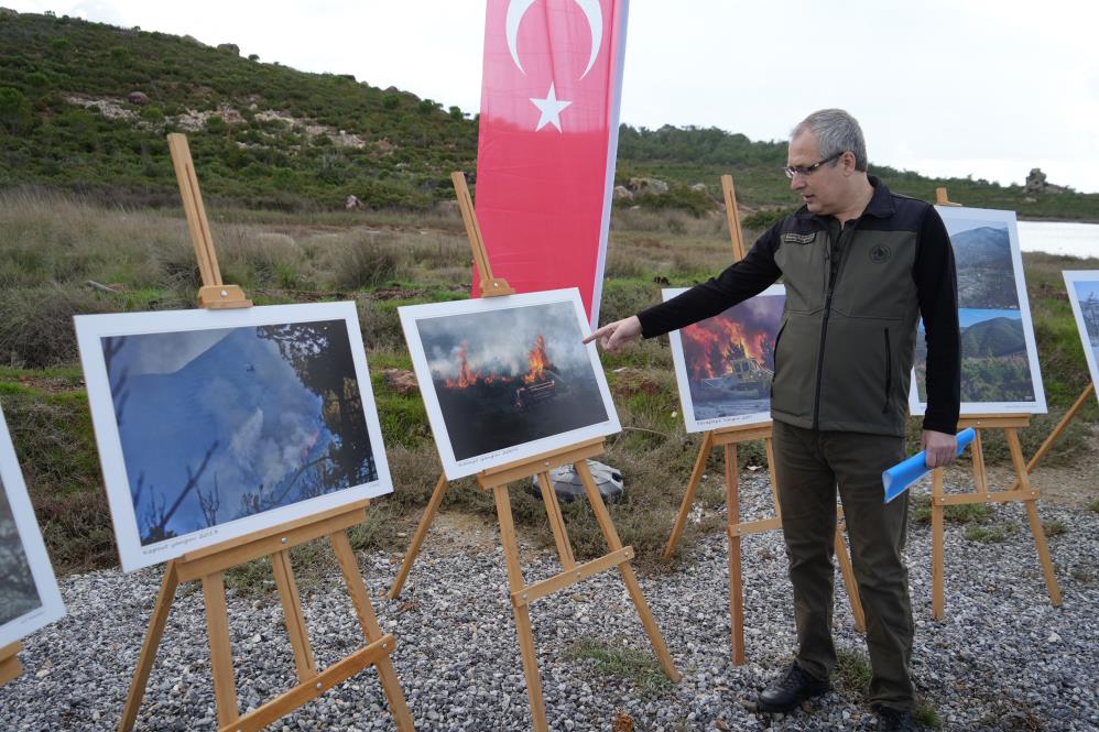 siyaha dönen ormanlar yeşiline kavuşuyor