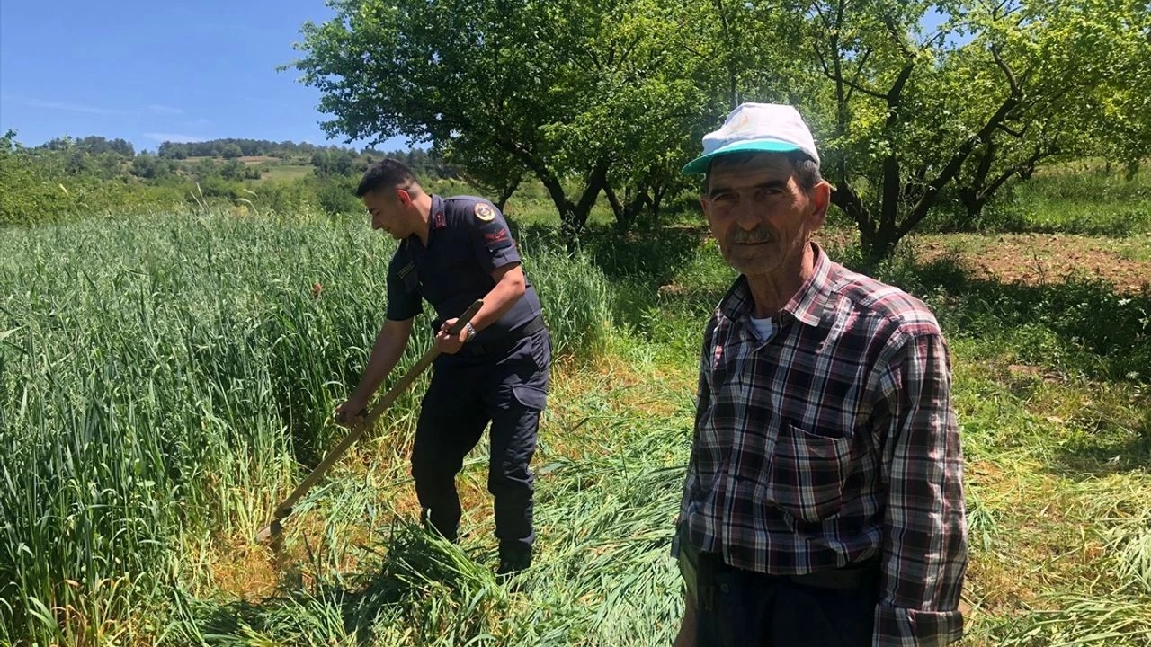 Bilecikte Ciftcinin Yorgunlugunu Goren Jandarma Tirpanla Ot Bicti