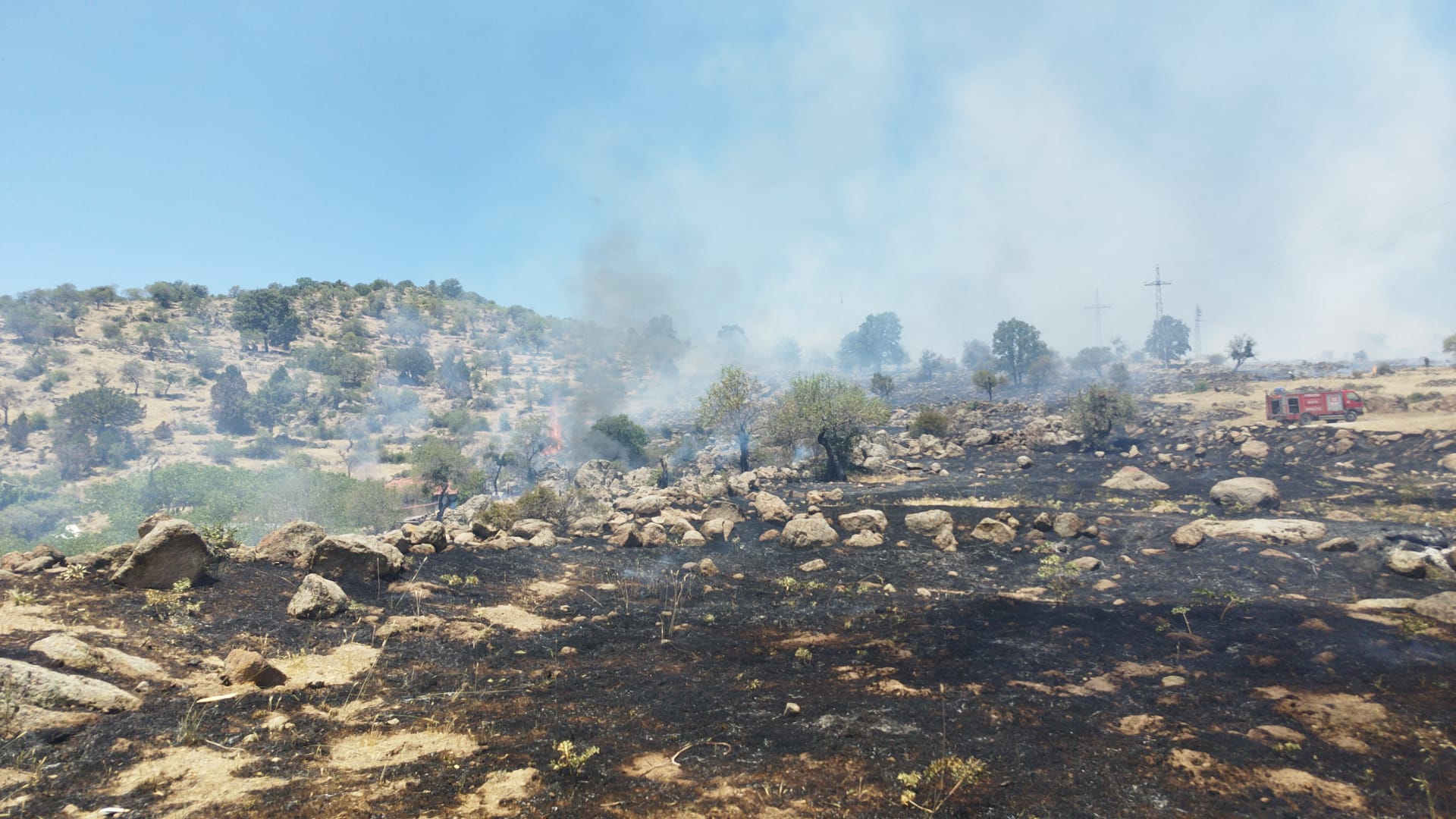 Afyon’da korkutan yangın: Her yer küle döndü!