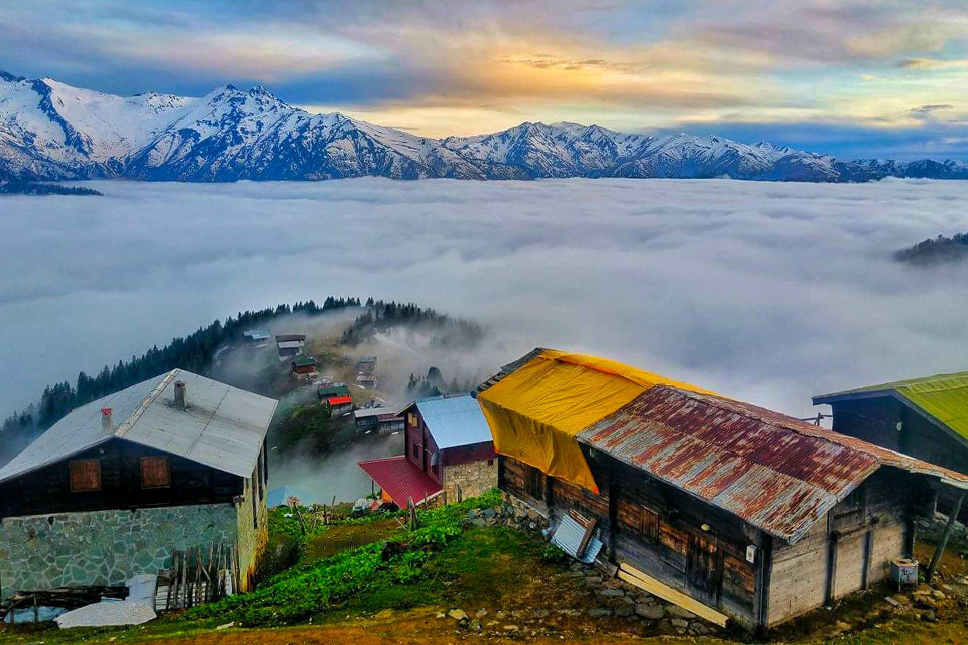 Pokut Bulut Denizi