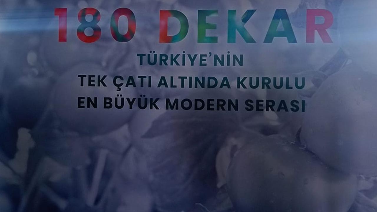180 Dekar