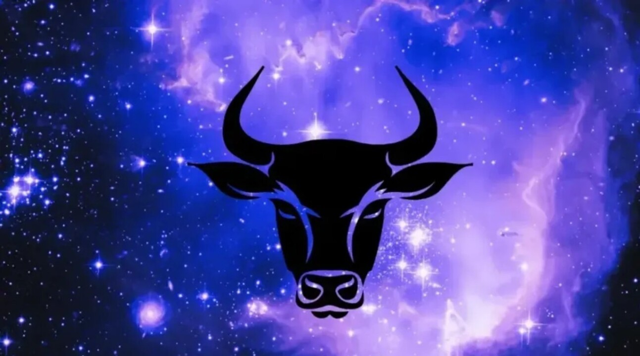 B O