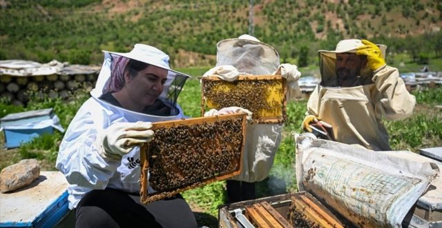 Her Seyi Geride Biraktilar Koye Tasinip Yuzlece Kovanla Servet Kazandilar. Sifirdan Basladilar Simdi Tonlarca Uretiyorlar 640X331