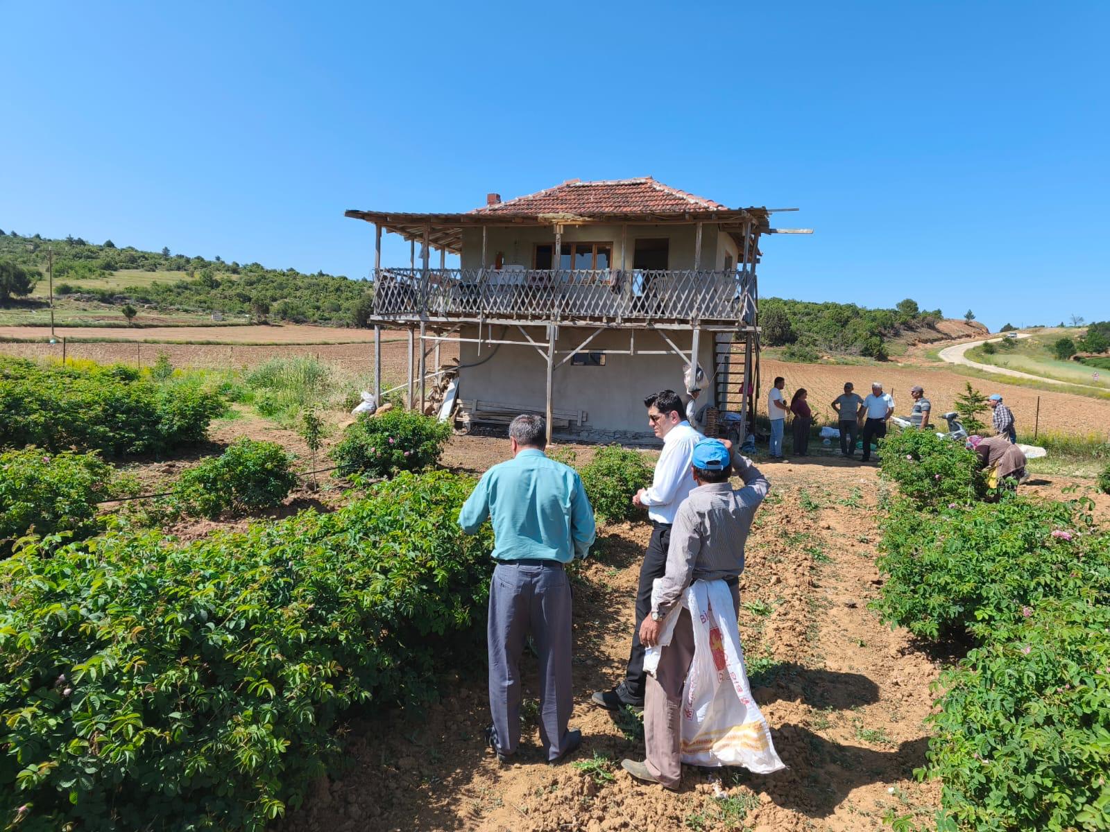 Kaymakam Çeli̇k Gül Hasadinda Üreti̇ci̇lerle Buluştu2