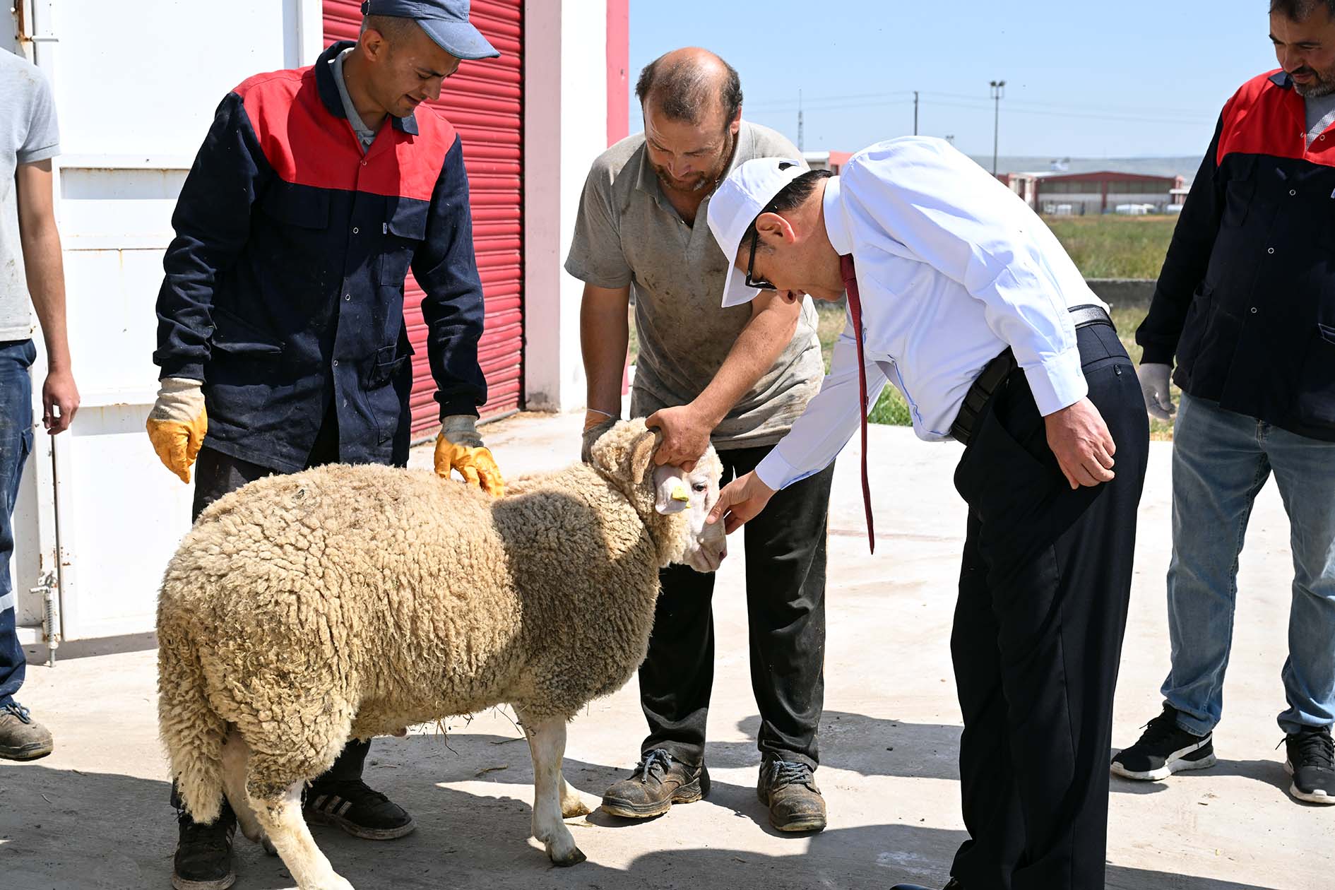 Rektör Karakaş’tan Çi̇ftli̇kte Yatirim Ve Proje İncelemesi̇1