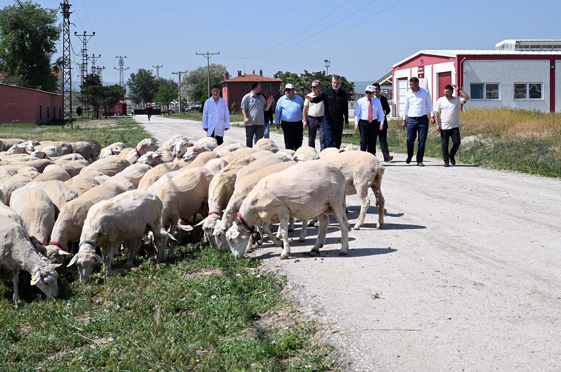 Rektör Karakaş’tan Çi̇ftli̇kte Yatirim Ve Proje İncelemesi̇2