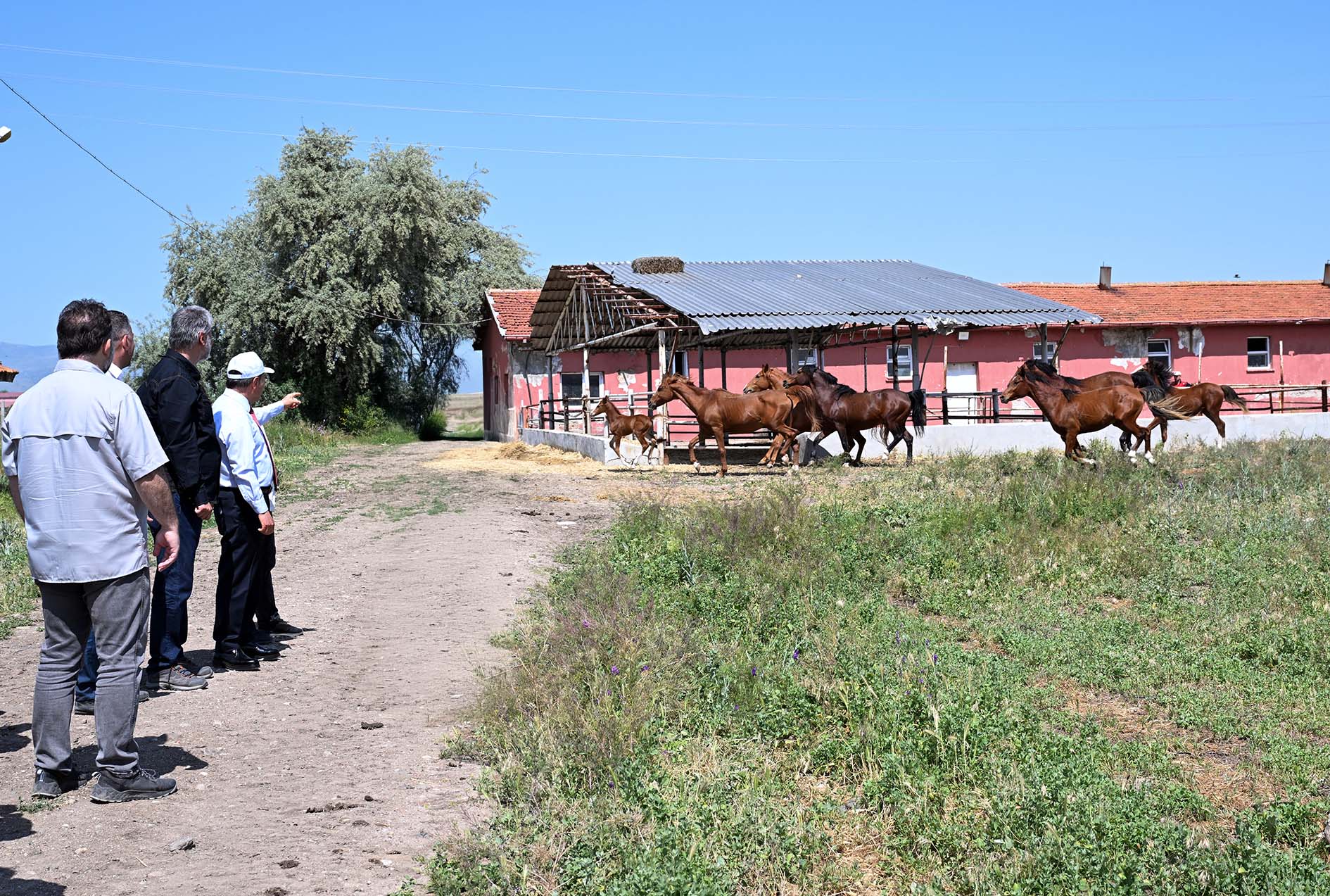 Rektör Karakaş’tan Çi̇ftli̇kte Yatirim Ve Proje İncelemesi̇3