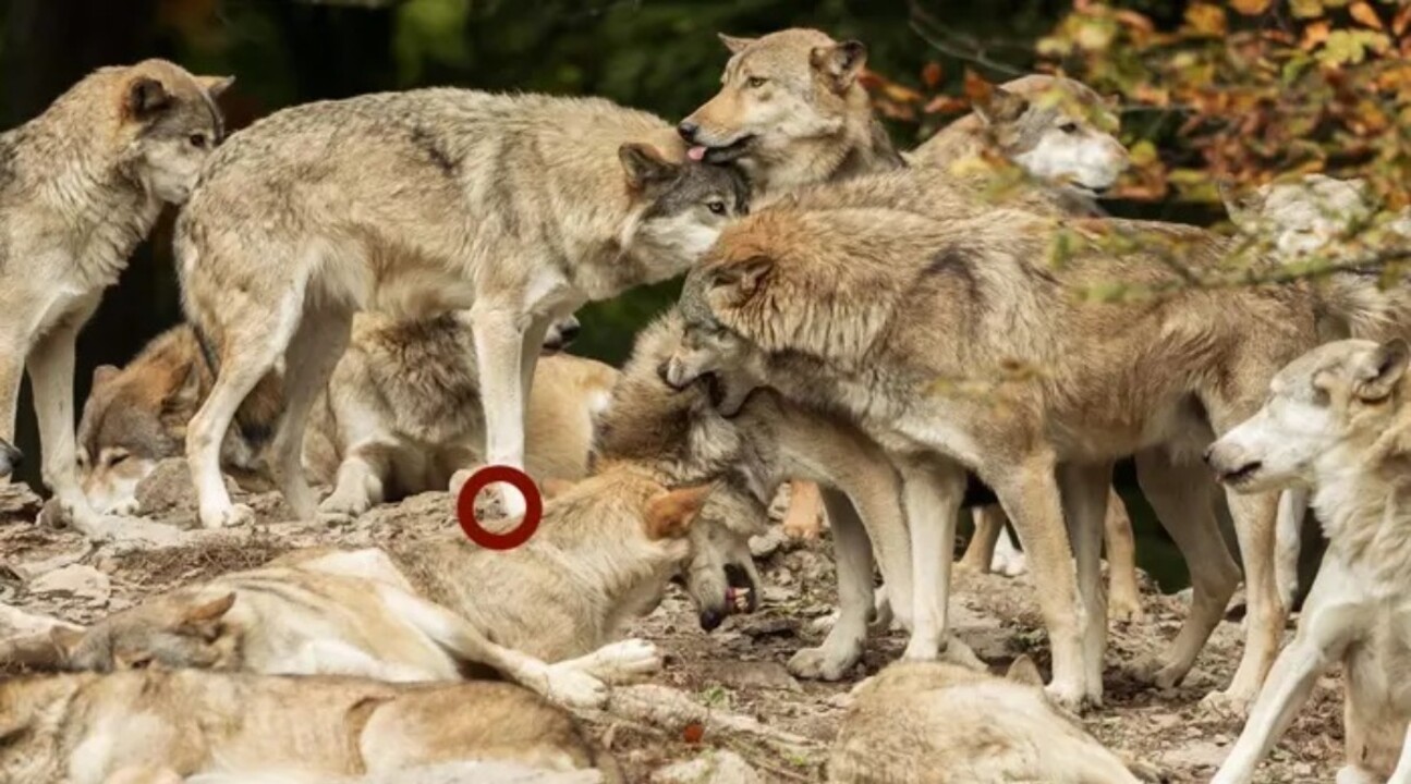 1-346