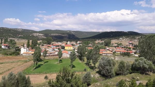 Afyon’da Yangın Sonrası Tahliye Edilen Köyle Ile Ilgili Acı Detaya Odak Ulaştı 2