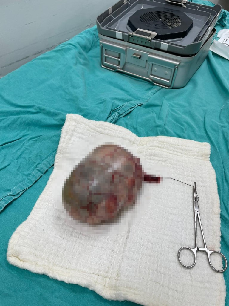 Aw501754 01 1