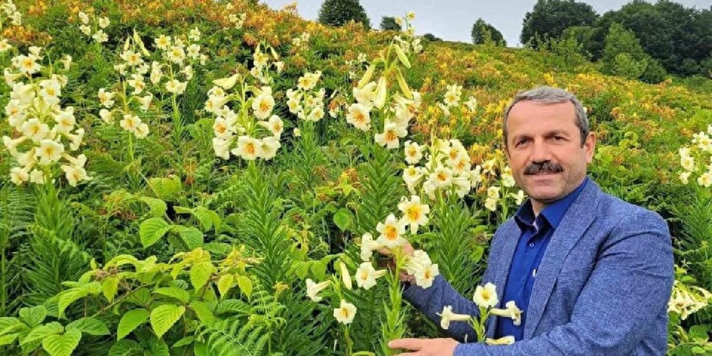 Gorunusu Aldatici Bedeli Agir 20 Gun Yasayan Guzellik Dokunmak Tam 245 000 Tl