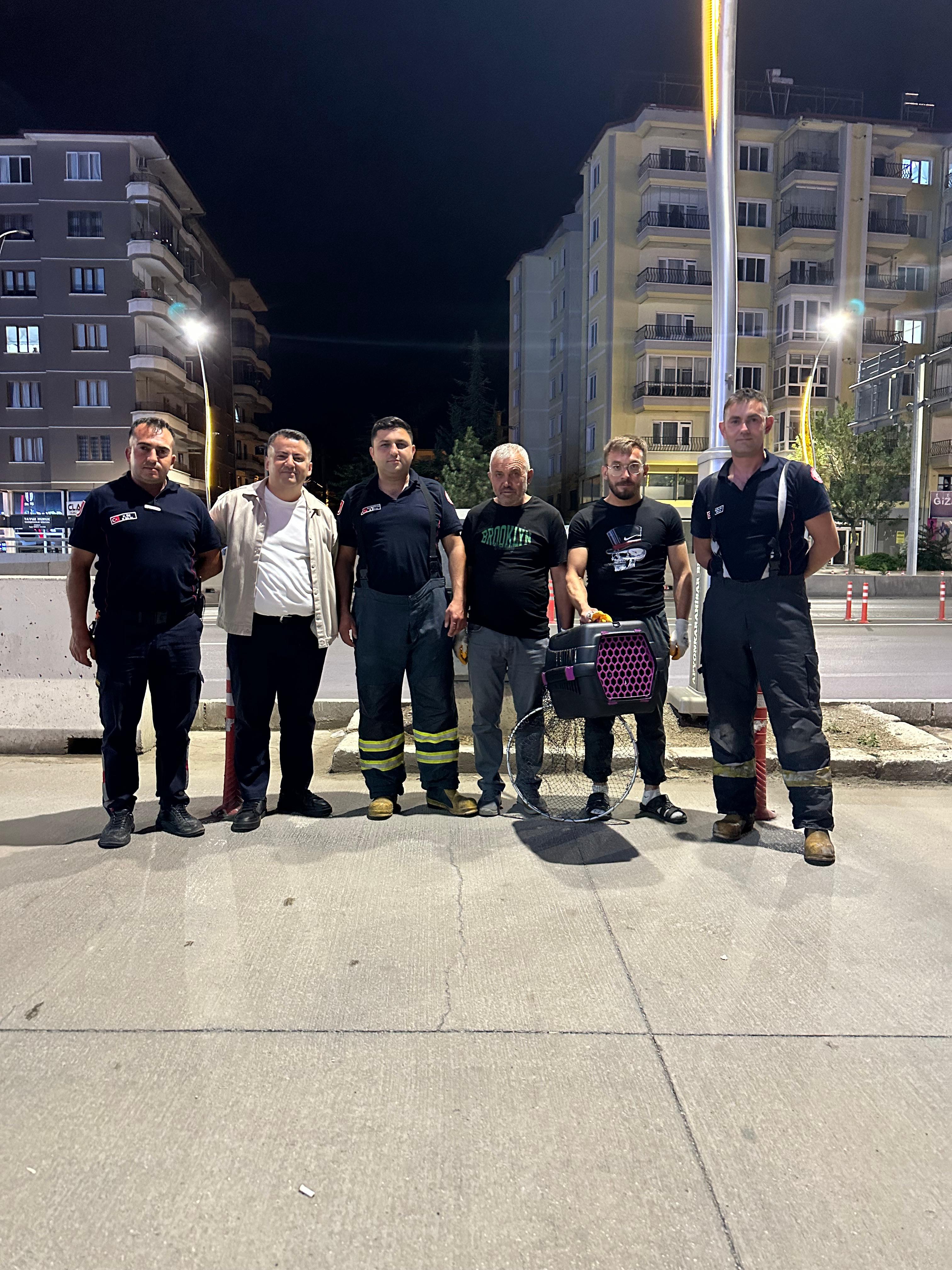 Trafiğin Ortasında Hayat Mücadelesi