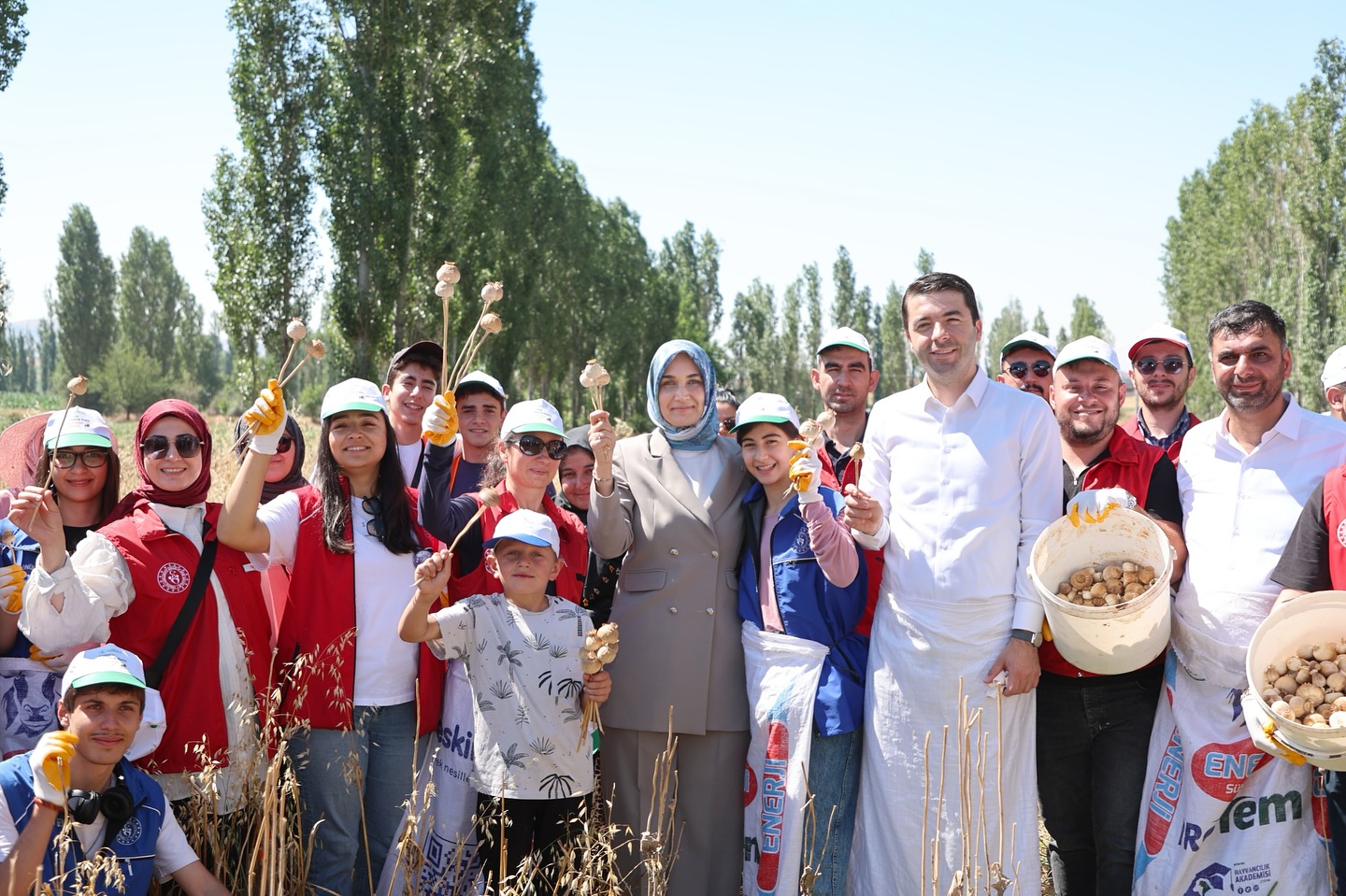 Vali̇ Yi̇ği̇tbaşi İle Gençler Hasatta El Ele (3)