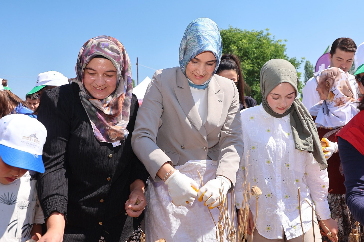 Vali̇ Yi̇ği̇tbaşi İle Gençler Hasatta El Ele (4)