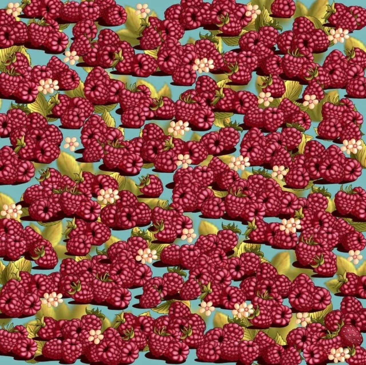 Zekasina Guvenen Buraya Sadece En Zeki Olanlar Basariyor Cilegi 5 Saniyede Bulan Dahidir 56388