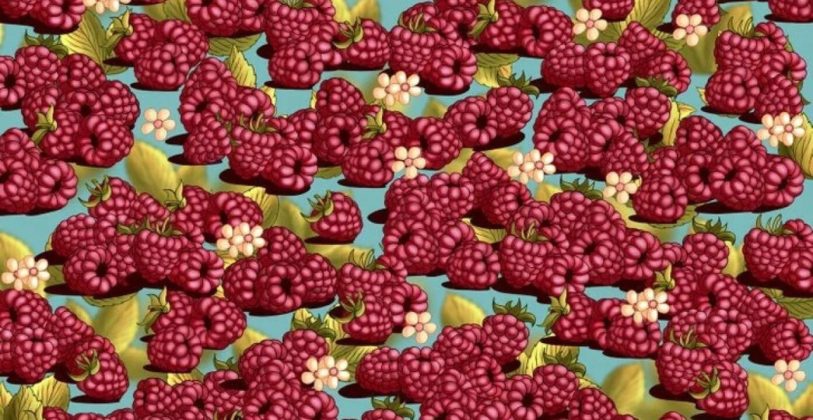 Zekasina Guvenen Buraya Sadece En Zeki Olanlar Basariyor Cilegi 5 Saniyede Bulan Dahidir 813X420