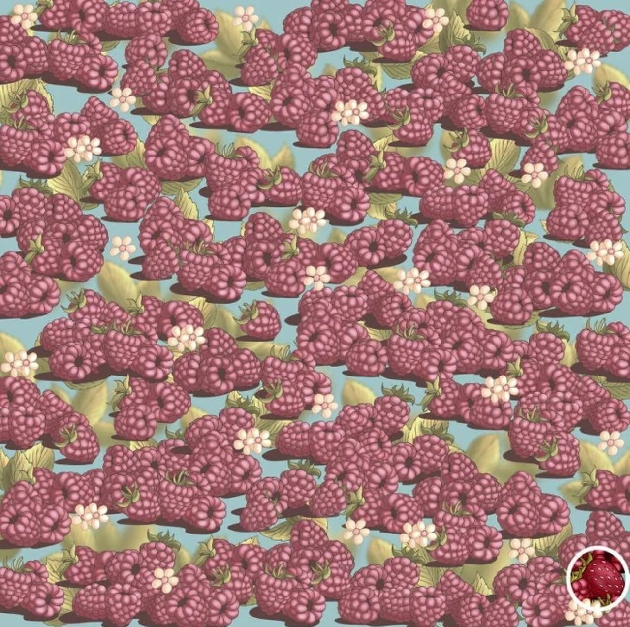 Zekasina Guvenen Buraya Sadece En Zeki Olanlar Basariyor Cilegi 5 Saniyede Bulan Dahidir