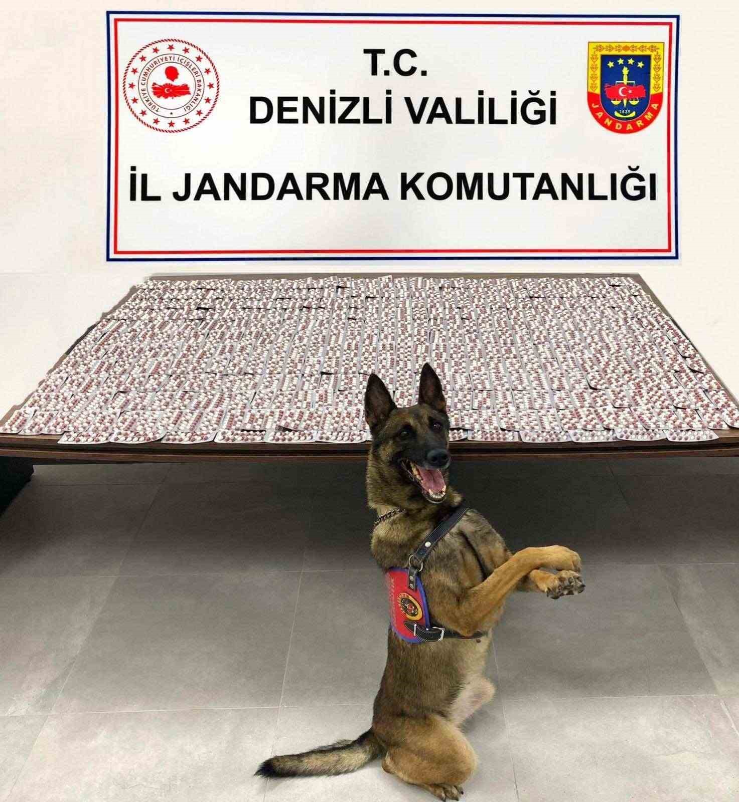 20250911Aw535812