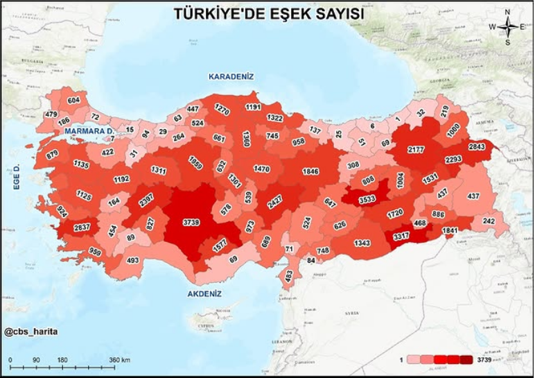 Eşek Hari̇tasi Ortaya Çikti Bölge De Afyon Zi̇rvede, Uşak Son Sirada