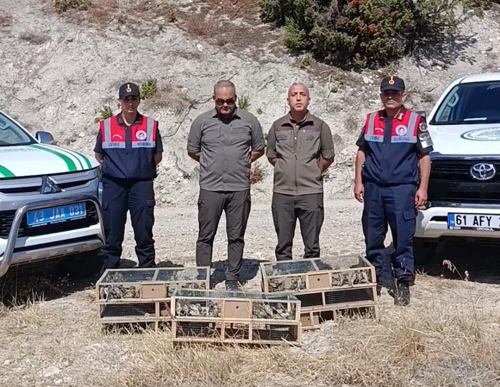 İzi̇nsi̇z Yakalanan 142 Saka Kuşu Kurtarildi Tekrar Doğaya Birakildi .,