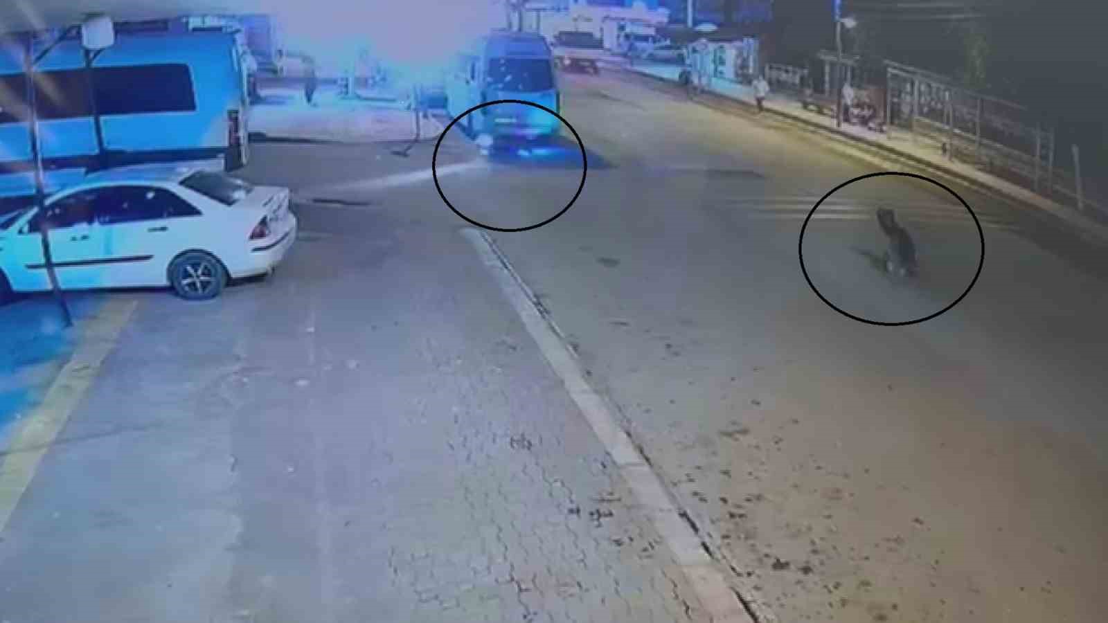 20251006Aw552593 (1)